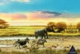 /album/zvierata/a10-003-zwierzteta-safari-panorama-jpg/